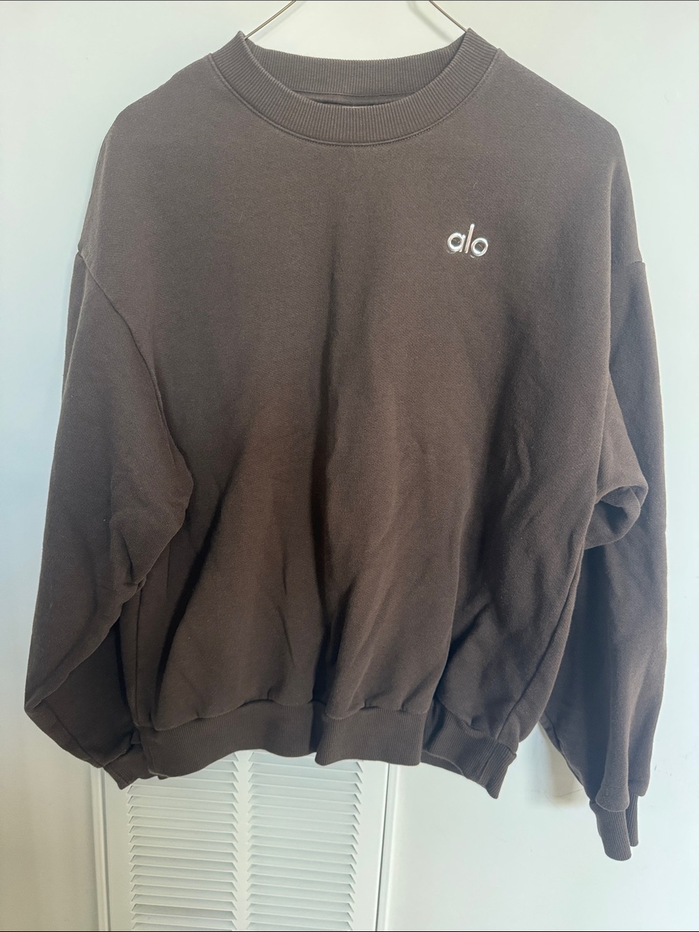 ALO Yoga Men's Crewneck Sweatshirt in Brown